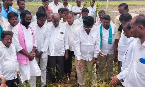 రైతులకు తెలంగాణ ప్రభుత్వం అండగా నిలుస్తుంది : ఎమ్మెల్యే షిండే
