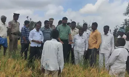 పెద్ద మల్లారెడ్డిలో నీట మునిగిన ధాన్యం పంట పరిశీలన..