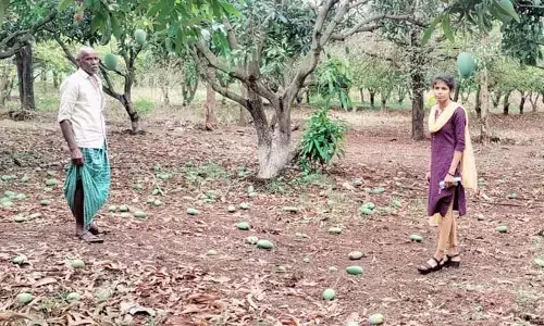 అకాల వర్షం.. రైతులకు అపార నష్టం..