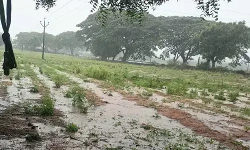 నల్లమల్లలో భారీ వర్షం..