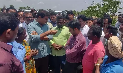 తడిసిన ధాన్యాన్ని కొనుగోలు చేస్తాం : మంత్రి కేటీఆర్