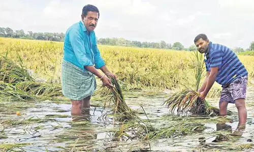 అకాల వర్షం.. అన్నదాతలను ఆదుకోండి