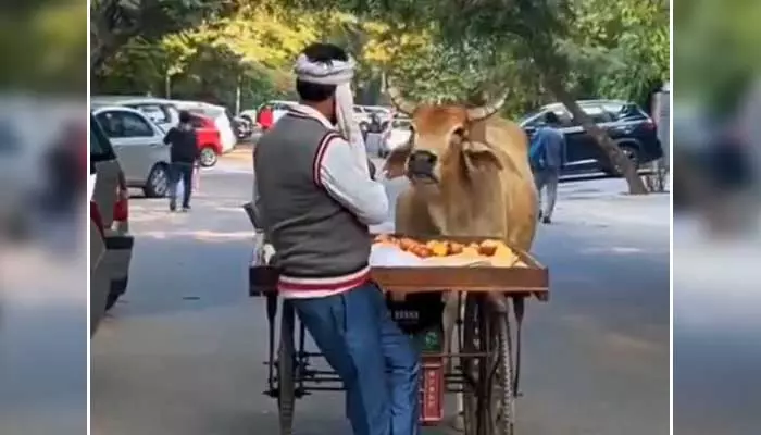 హృదయంతో ధనవంతుడైన తోపుడు బండి వ్యాపారి