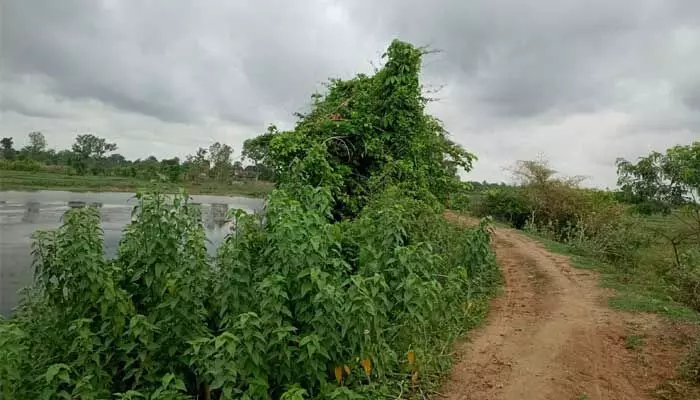 దారికోసం ఏండ్లుగా ఎదురు చూస్తున్నాం.. దారికోసం ఏండ్లుగా ఎదురు చూస్తున్నాం..