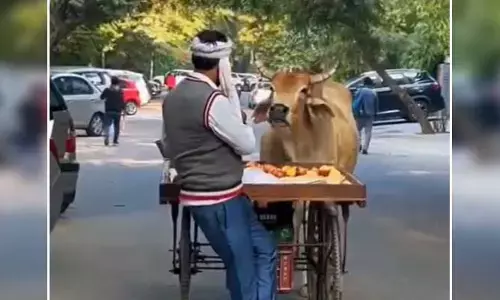 హృదయంతో ధనవంతుడైన తోపుడు బండి వ్యాపారి