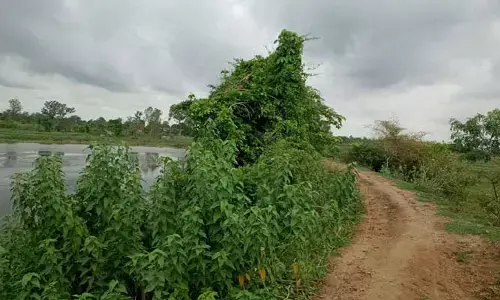 దారికోసం ఏండ్లుగా ఎదురు చూస్తున్నాం..