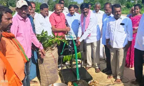 వరి ధాన్యం కొనుగోలు కేంద్రాన్ని ప్రారంభించిన ఎమ్మెల్యే..