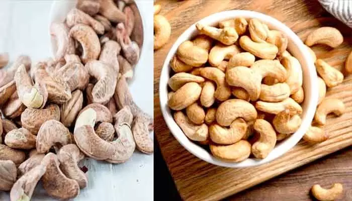 Cashew Nuts: కూరగాయలకంటే తక్కువ ధరకే జీడిపప్పు.. కేజీ రూ.15లే.. ఎక్కడో తెలుసా?