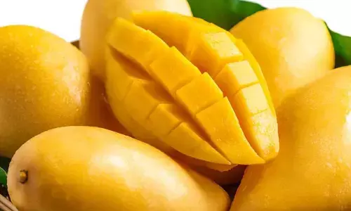 Mango: ఈ ఆరోగ్య సమస్యలతో  ఇబ్బంది పడే వారు.. మామిడి పండు తీసుకుంటే చాలట!