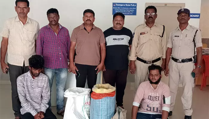 గంజాయి పట్టుకుంది ఎవరు..? గంజాయి పట్టుకుంది ఎవరు..?