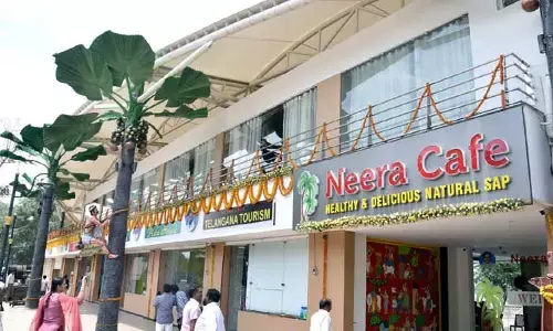 నీరా టేస్ట్ అదుర్స్.. ఔషధ గుణాలు ఉండటంతో జనంలో క్రేజ్​