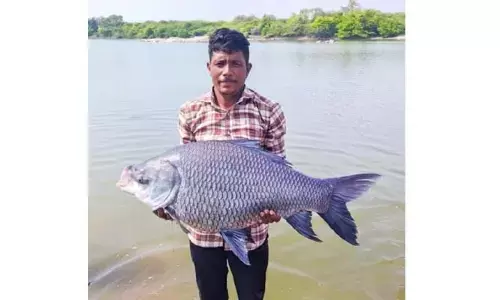 మత్స్యకారుల వలకు చిక్కిన భారీ చేప..