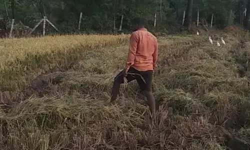 కొనుగోలు చేసిన స్థలం వక్ఫ్ భూమిగా నమోదు.. లబోదిబోమంటున్న రైతులు