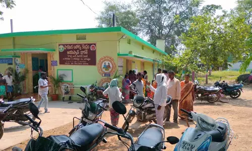 ఉపాధి హామీ కూలీల పై తేనెటీగల దాడి.. వంద మందికి పైగా గాయాలు