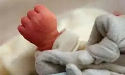 ముళ్ల పొదల్లో పడేసిన పసికందును కుక్కలు దారుణంగా...