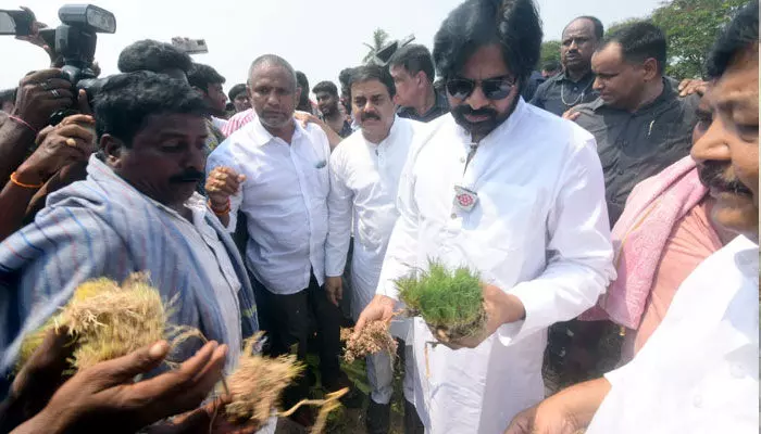 రైతులను ఆదుకోవాలి.. ధాన్యం కొనుగోలు చేయకుండా వేధింపులేంటి?: పవన్ ఫైర్ రైతులను ఆదుకోవాలి.. ధాన్యం కొనుగోలు చేయకుండా వేధింపులేంటి?: పవన్ ఫైర్