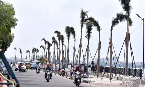 హెచ్ఎండీఏ నయా దందా.. చెట్ల పైన కమిషన్?