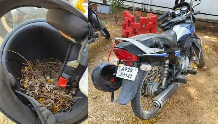 నీడనిచ్చిన హెల్మెట్.. నీడనిచ్చిన హెల్మెట్..