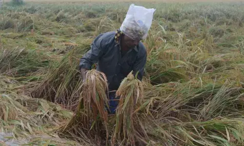 అన్నదాతను ఆదుకోరా...!