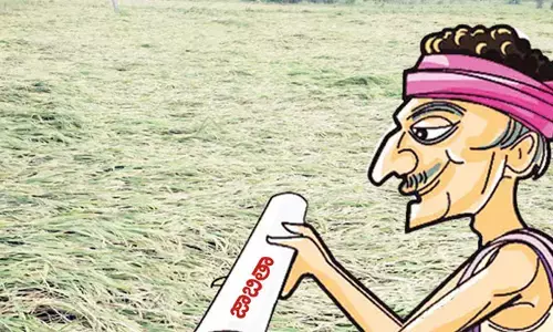 పంట నష్టం నివేదికలో పేరుందా..? రైతులలో తీవ్ర ఆందోళన