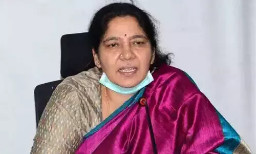 మంత్రి సత్యవతి పర్యటనకు ఏర్పాట్లు చేయండి : జిల్లా కలెక్టర్ పి.ఉదయ్ కుమార్