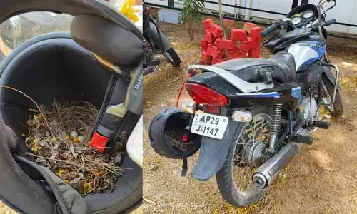 నీడనిచ్చిన హెల్మెట్​..