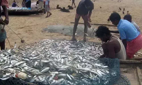 మత్స్యకారులకు సర్కార్ శుభవార్త