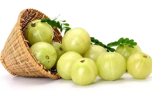 Amla : రోగనిరోధక శక్తిని పెంచడంలో  ఎంత అద్భుతంగా పనిచేస్తాయో!