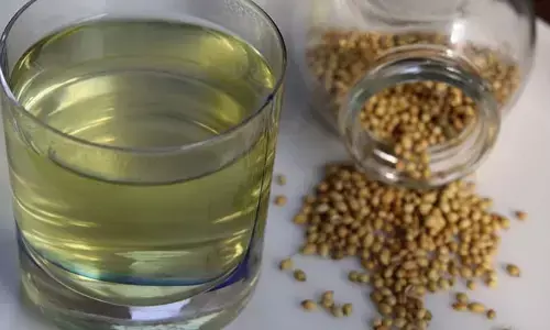 Coriander: ధనియా నీటితో మన ఆరోగ్యానికి  కలిగే ప్రయోజనాలు ఏంటో తెలుసా?