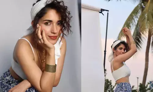 Scintillating Clicks Of  Actress Ruhani Sharma
