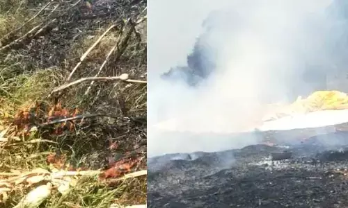 అగ్నిప్రమాదంతో మొక్కజొన్న చేను దగ్ధం..