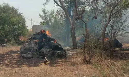 షార్ట్ సర్క్యూట్ తో గడ్డివాములు దగ్ధం..