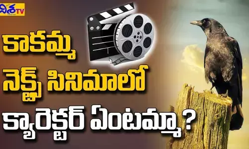 తెలుగు సినిమాలో ‘కాకి’ మేనియా (వీడియో)