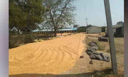 మక్క రైతు పై ఆంక్షల పిడుగు..!