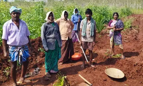 ఉపాధి కార్యాలయంలో మస్టర్ కాపీలు మాయం..