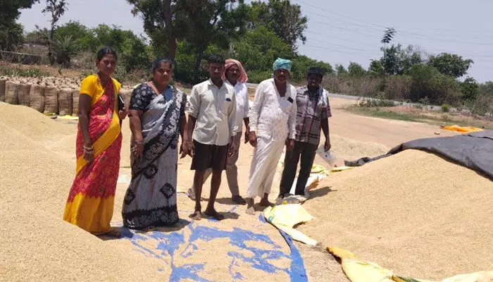 పండించిన ధాన్యం దొంగల పాలాయె పండించిన ధాన్యం దొంగల పాలాయె