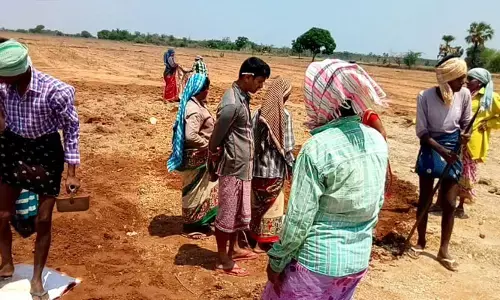 కరువు పని డబ్బులు ఎలా చెక్ చేసుకోవాలో తెలుసా?
