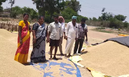 పండించిన ధాన్యం దొంగల పాలాయె
