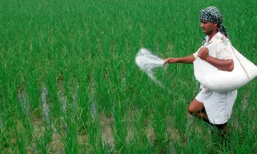 రైతులకు శుభవార్త: ఎరువుల ధరలు పెంచడంలో కీలక నిర్ణయం తీసుకున్న కేంద్రం