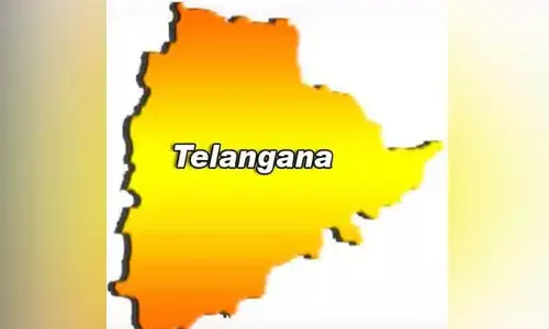 దశాబ్ధి ఉత్సవాలకు కమిటీ ఏర్పాటు