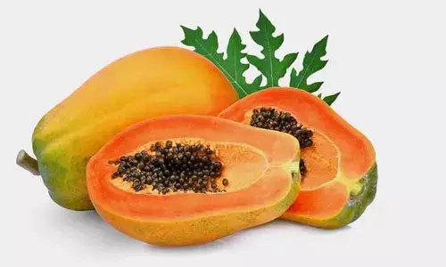Papaya: బొప్పాయి పండును  పురుషులు తీసుకోవచ్చా?