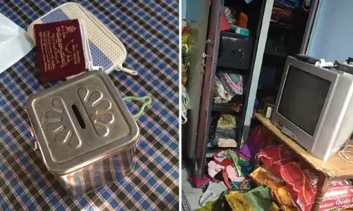 పట్టపగలే దొంగల బీభత్సం