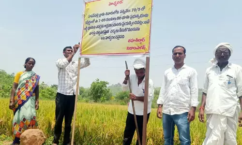 హసన్ పల్లిలో సర్కారు భూమి కబ్జాకు యత్నం