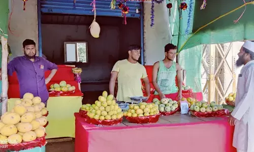 మామిడి పండ్లకు కేరాఫ్ పూడూరు