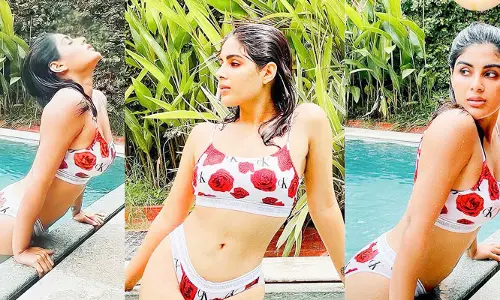 తన సక్సెస్ సీక్రెట్‌ బయటపెట్టిన స్టార్ హీరోయిన్