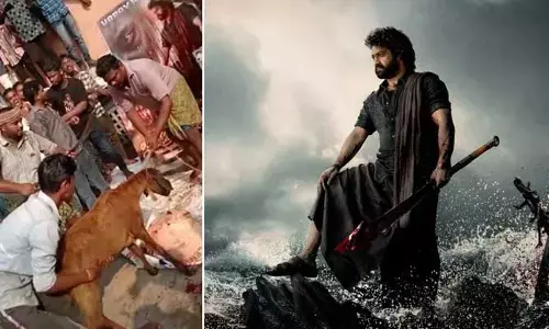 Machilipatnam: జూ.ఎన్టీఆర్ కటౌట్‌కు మేకపోతుల బలి