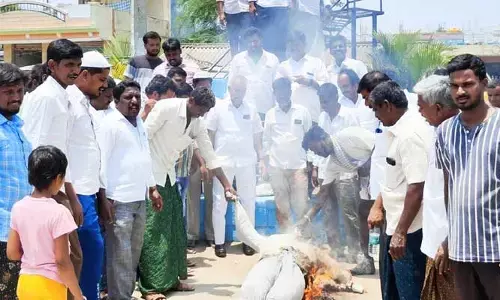 Kalyanadurgam: వైసీపీ నేతల నిరసన.. చంద్రబాబు దిష్టి బొమ్మ దహనం