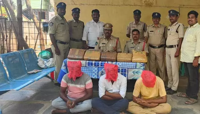 Kadapa: ముగ్గురు గంజాయి వ్యాపారుల అరెస్ట్ Kadapa: ముగ్గురు గంజాయి వ్యాపారుల అరెస్ట్
