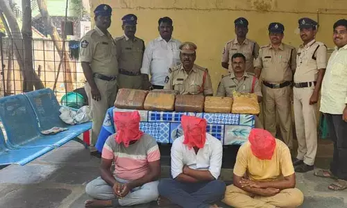Kadapa: ముగ్గురు గంజాయి వ్యాపారుల అరెస్ట్