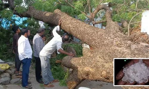 జగిత్యాలలో ఈదురుగాలులతో భారీ వర్షం